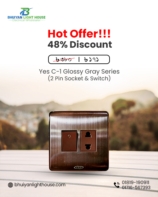 Yes C-1 Glossy Gray Series 2 Pin Socket & Switch